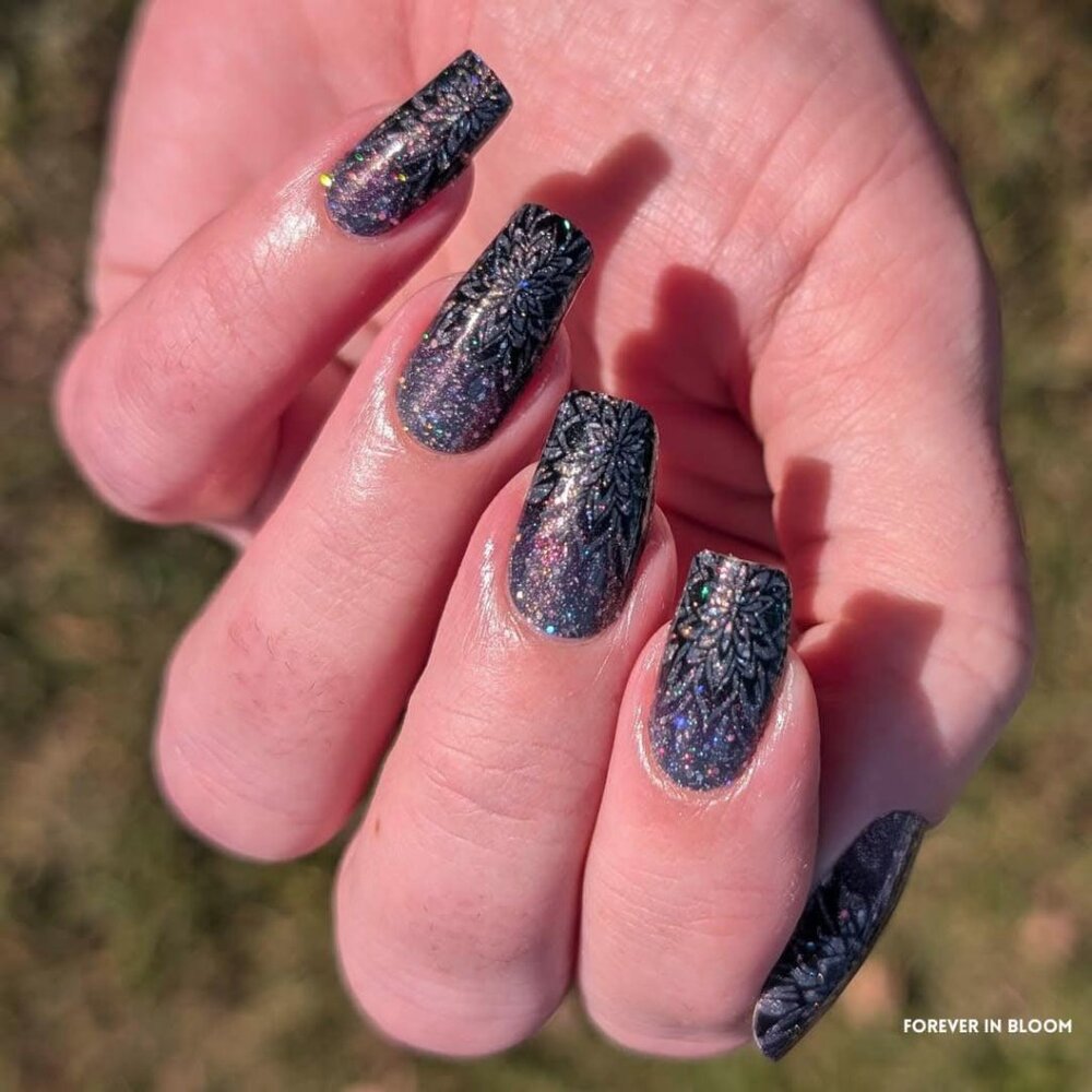 Color Street Color Play Box - November 2024 - Picture 7 of 7